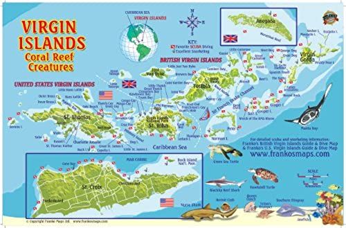 Virgin Islands Map & Coral Reef Creatures Guide Franko Maps Laminated Fish Card