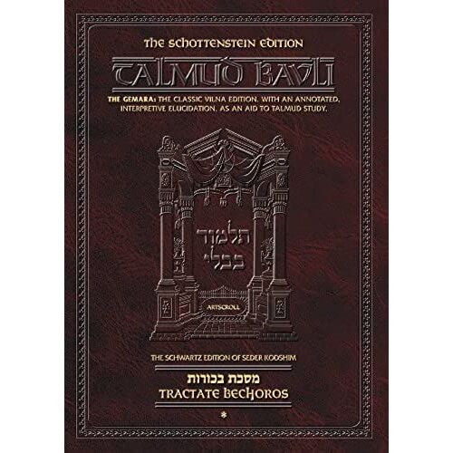 Talmud Bavli: Tractate Bechoros: 1