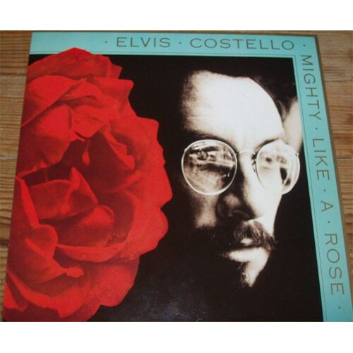 Mighty Like A Rose