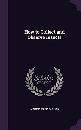 How To Collect And Observe Insects