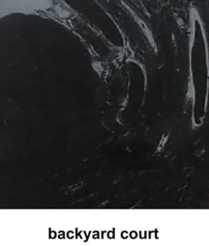 Backyard Court: The Forewarning (Workbook)