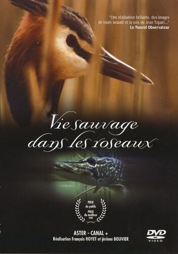 La Vie Sauvage Dans Les Roseaux