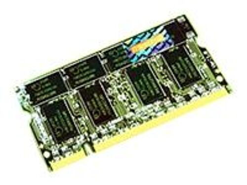 Transcend - DDR - module - 512 Mo - SO DIMM 200 broches - 333 MHz / PC2700 - CL2.5 - 2.5 V - mémoire sans tampon - non ECC