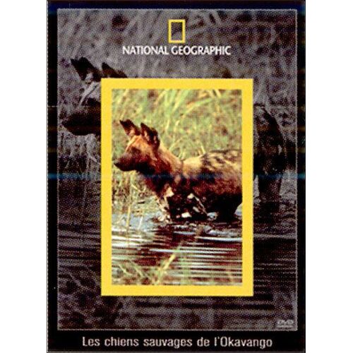 National Geographic - Les Chiens Sauvages De L'okavango