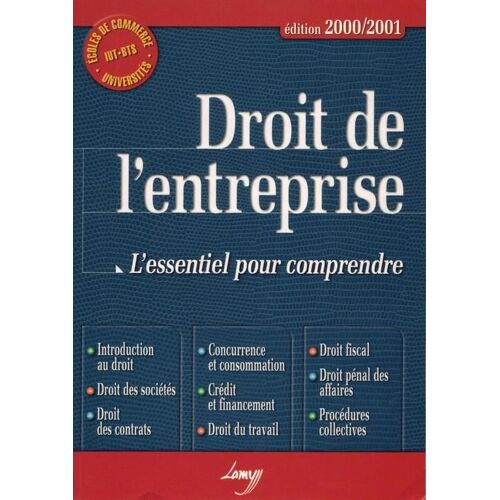 Droit De L'entreprise - L'essentiel Pour Comprendre, Edition 2000/2001