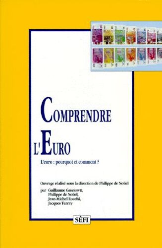Comprendre L'euro - L'euro : Pourquoi Et Comment ?
