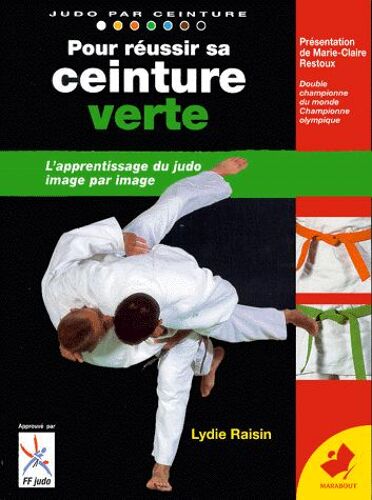 Pour Reussir Sa Ceinture Verte - De La Ceinture Orange À La Ceinture Verte, Programme 4ème Kyu