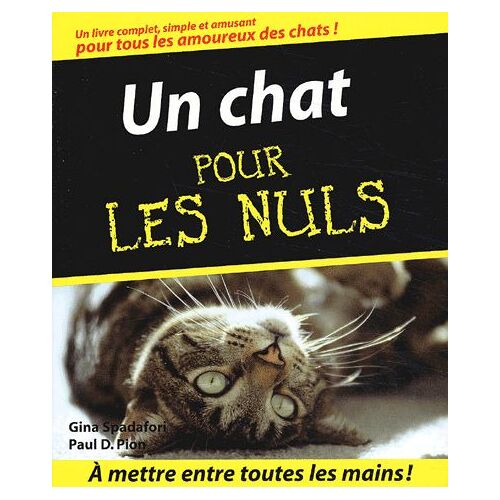 Un Chat Pour Les Nuls