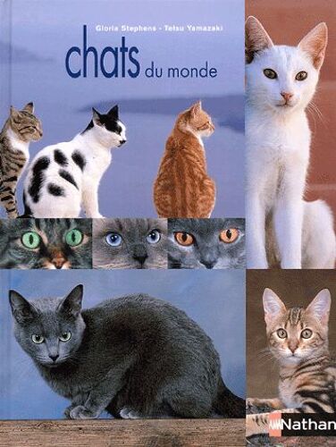 Chats Du Monde
