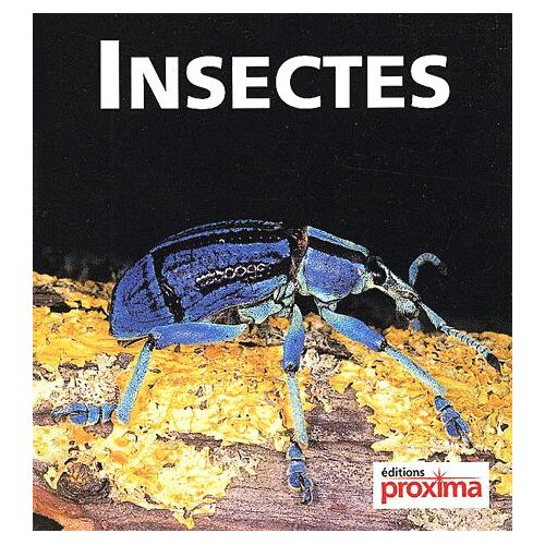 Insectes