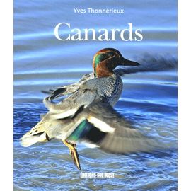 Canards