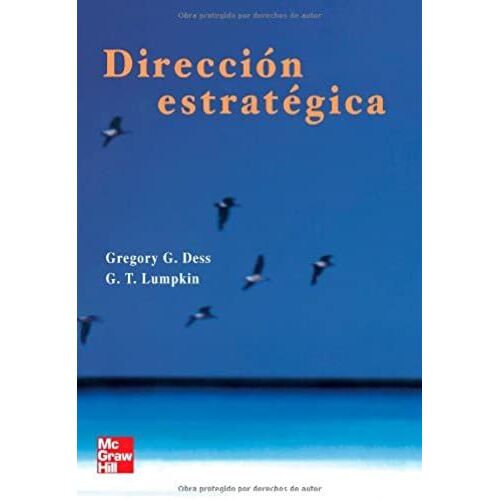 Dirección Estratégica (Spanish Edition)