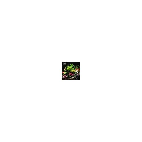 Small Hours, The