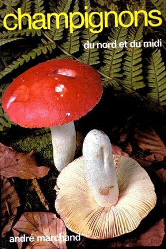 Champignons Du Nord Et Du Midi - T. 5, Les Russules