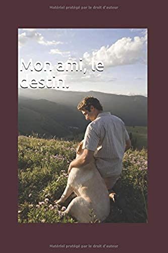 Mon Ami, Le Destin. (French Edition)
