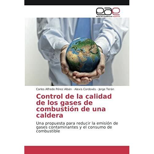 Control De La Calidad De Los Gases De Combustión De Una Caldera