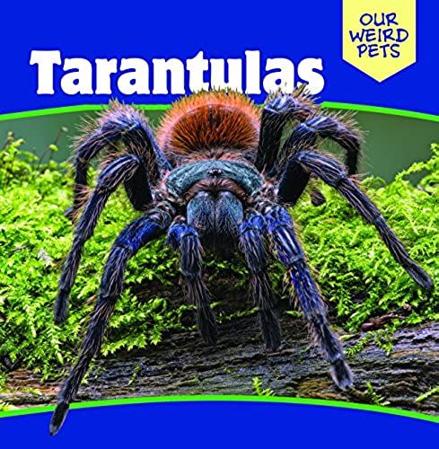 Tarantulas (Our Weird Pets)