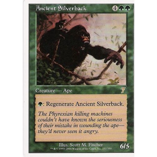 Ancient Silverback