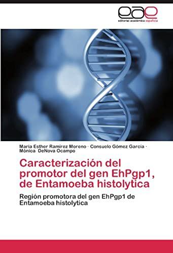 Caracterización Del Promotor Del Gen Ehpgp1, De Entamoeba Histolytica