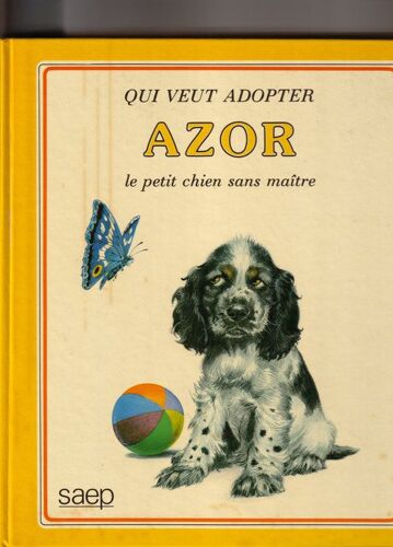 Qui Veut Adopter Azor Le Petit Chien Sans Maitre
