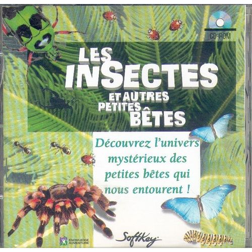 Les Insectes Et Autres Petites Bêtes