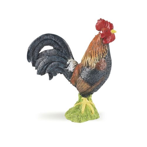 La Vie A La Ferme Coq Gaulois