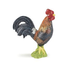 La Vie A La Ferme Coq Gaulois