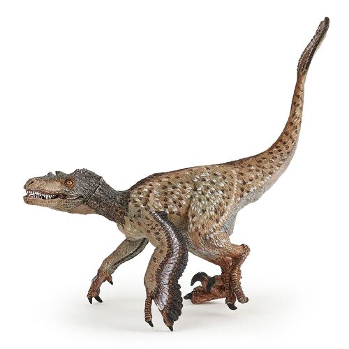 LES DINOSAURES Vélociraptor à plumes