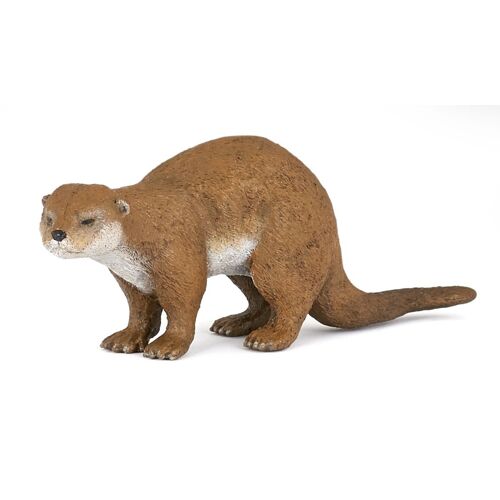 LA VIE SAUVAGE Loutre