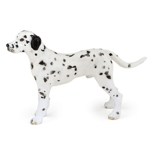 CHIENS ET CHATS Dalmatien