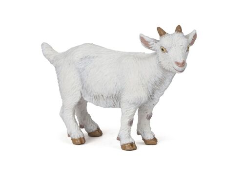 LA VIE A LA FERME Chevreau blanc