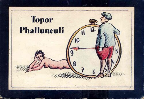 Phallunculi.