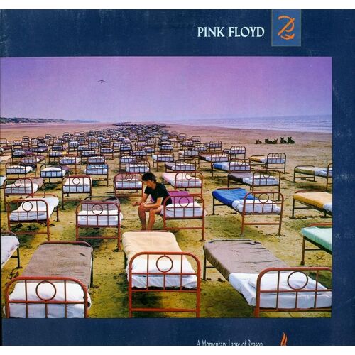 A Momentary Lapse Of Reason Vinyl Blanc