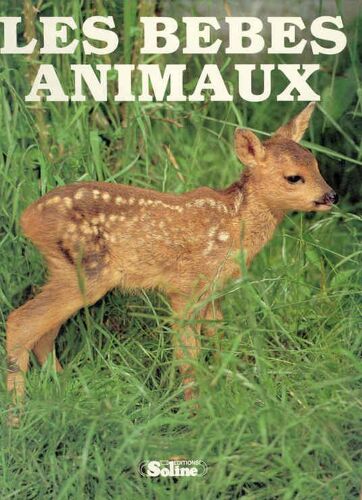 Les Bébés Animaux