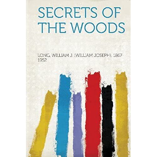 Secrets Of The Woods