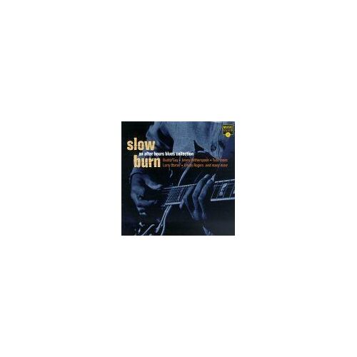 Chicago Blues Session, Vol. 13