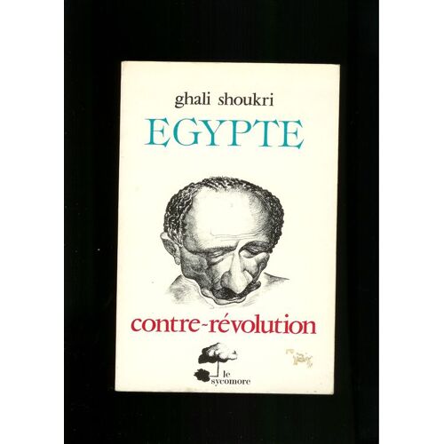 Egypte - Contre Revolution
