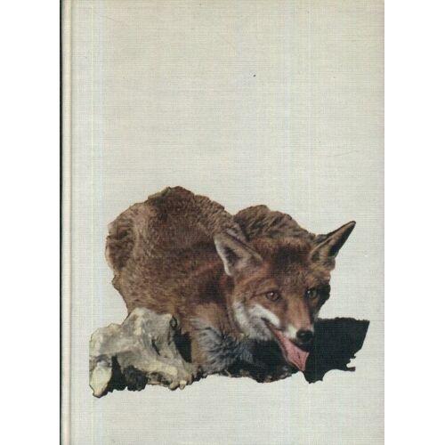 Le Roman De Renard