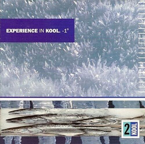 Experience In Kool 1°