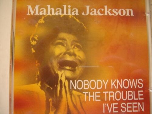 Nobody Knows The Trouble I've Seen