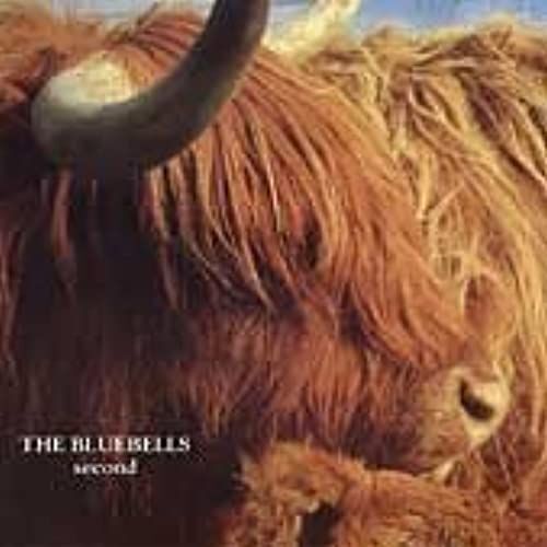 Second [12 Inch Analog]
