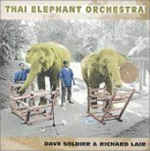 Thai Elephant Orchestra