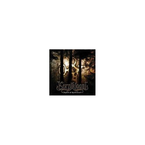 Spirit Of The Forest