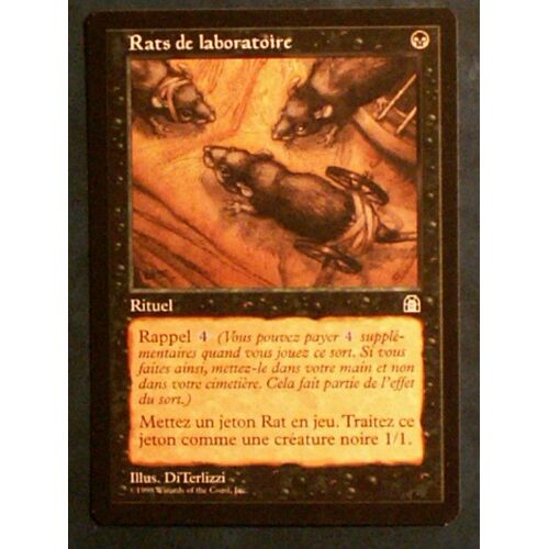 Rats De Laboratoire - Forteresse - Vf