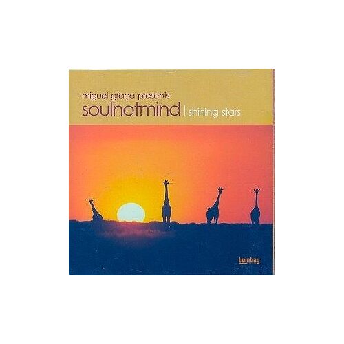 Soulnotmind