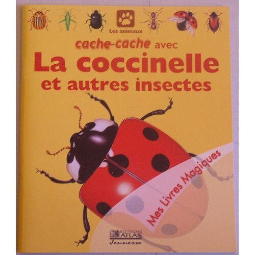 Cache Cache Avec La Coccinelle Et Les Autres Insectes