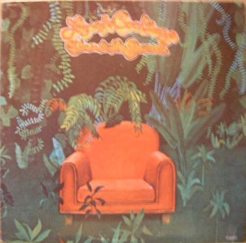 Closer To The Ground