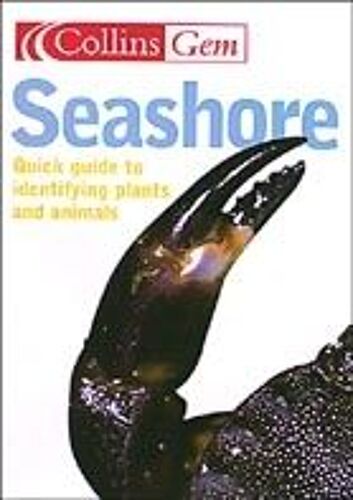 Seashore