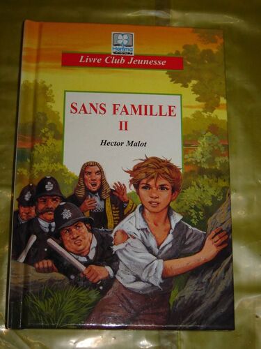 Sans Famille - Tome 2, Enfin Le Bonheur, D'apres Hector Malot