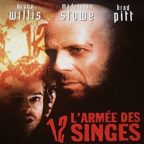 L'armée Des 12 Singes En Laser Disc Vf